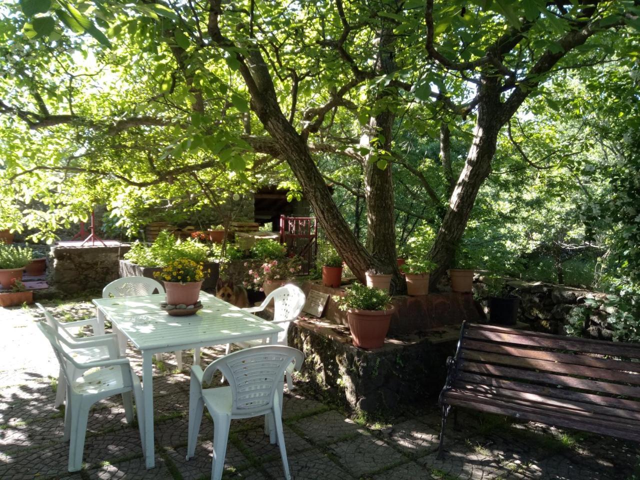 Cirasellaetna Villa Sant'Alfio Exterior photo