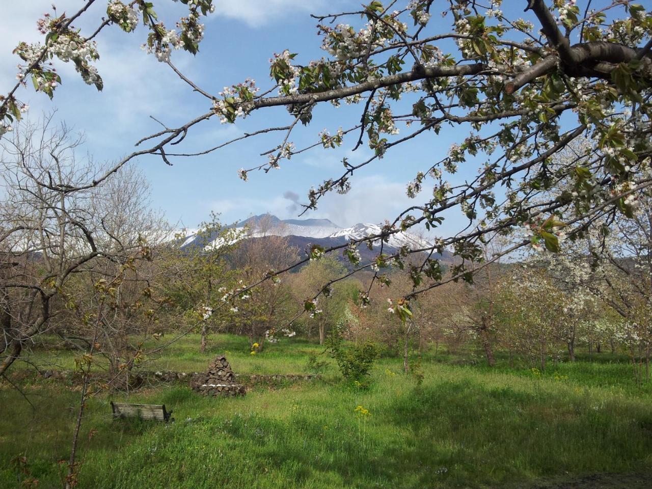 Cirasellaetna Villa Sant'Alfio Exterior photo